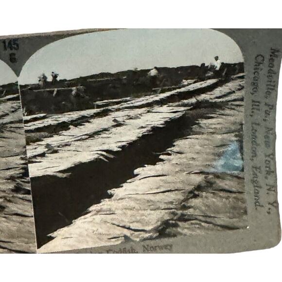 Norway Drying Codfish Fishing Stereoview 25674 145g Keystone View Company - Picture 2 of 4